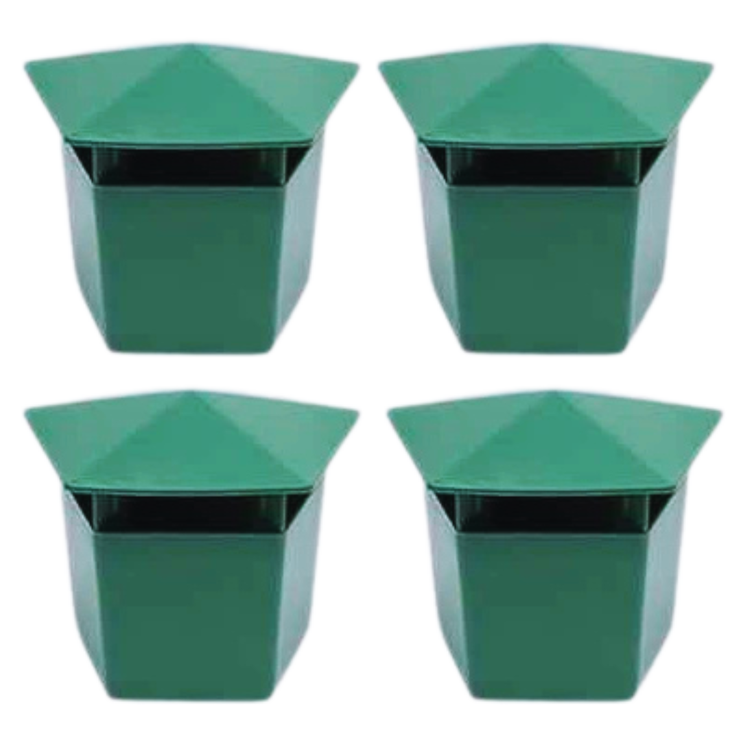 SnigelBorta™ | Tar bort alla sniglar på bara 3 dagar – helt giftfritt!