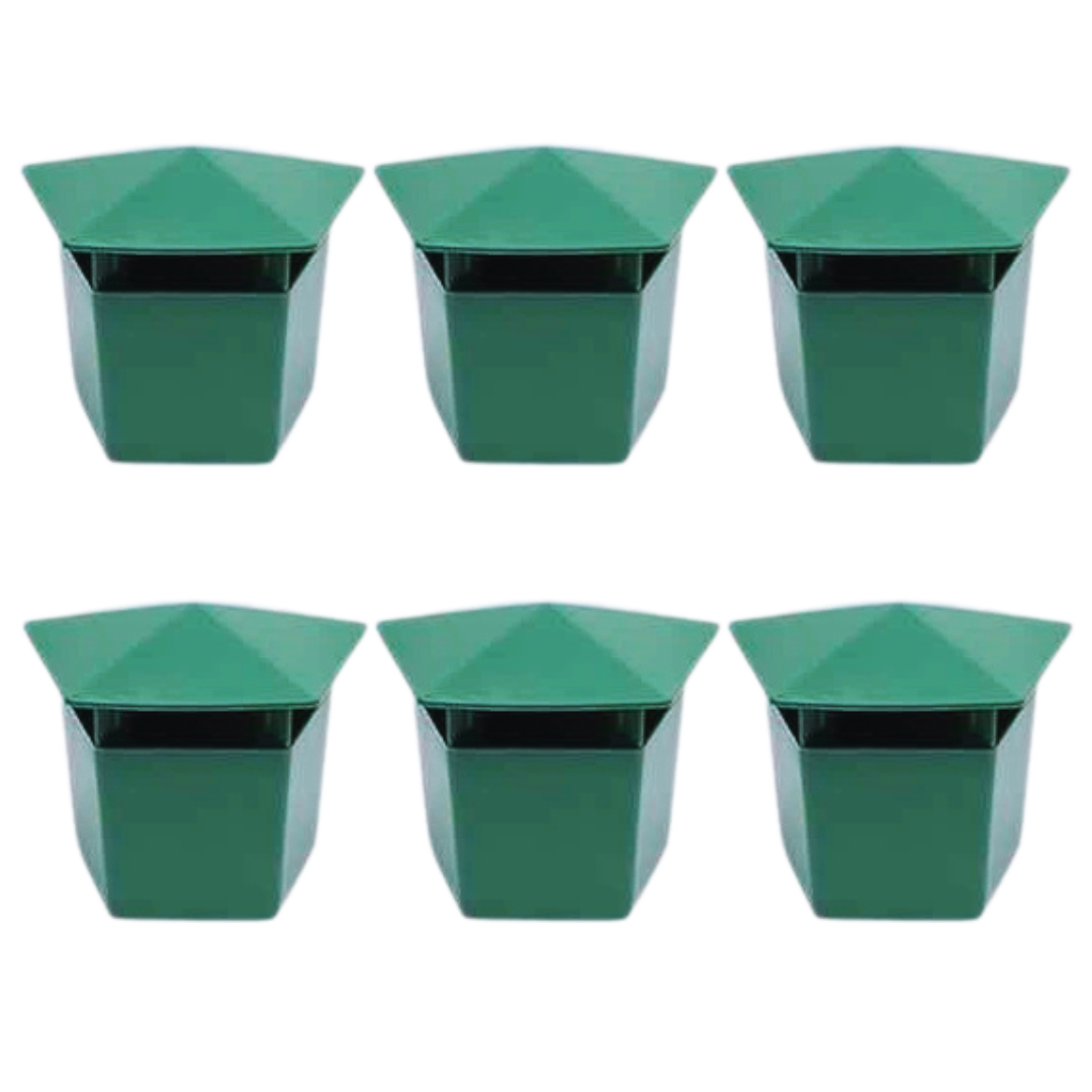 SnigelBorta™ | Tar bort alla sniglar på bara 3 dagar – helt giftfritt!